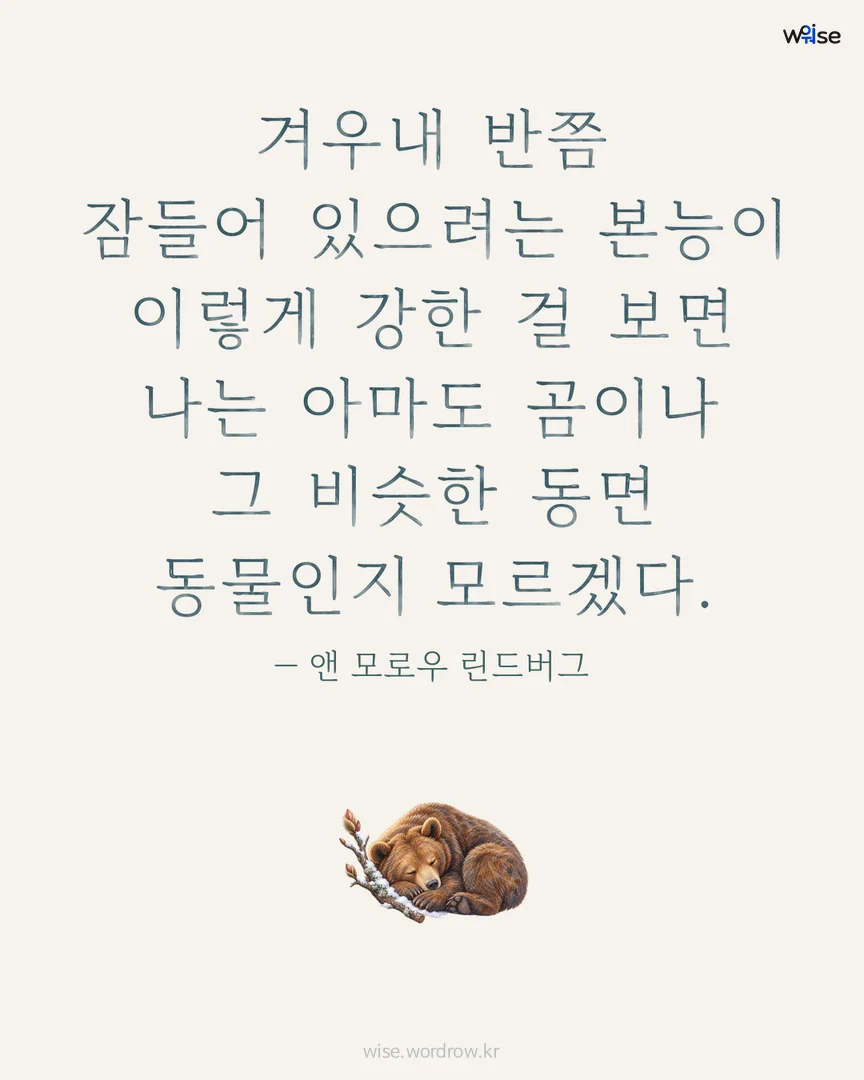 겨우내 반쯤 잠들어 있으려는 본능이 이렇게 강한 걸 보면 나는 아마도 곰이나 그 비슷한 동면 동물인지 모르겠다. — 앤 모로우 린드버그 포토카드