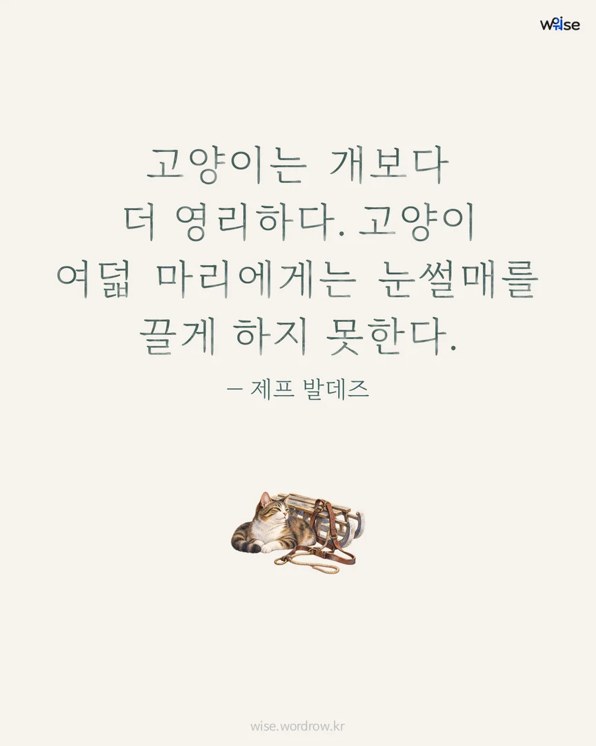 고양이는 개보다 더 영리하다. 고양이 여덟 마리에게는 눈썰매를 끌게 하지 못한다. — 제프 발데즈 포토카드
