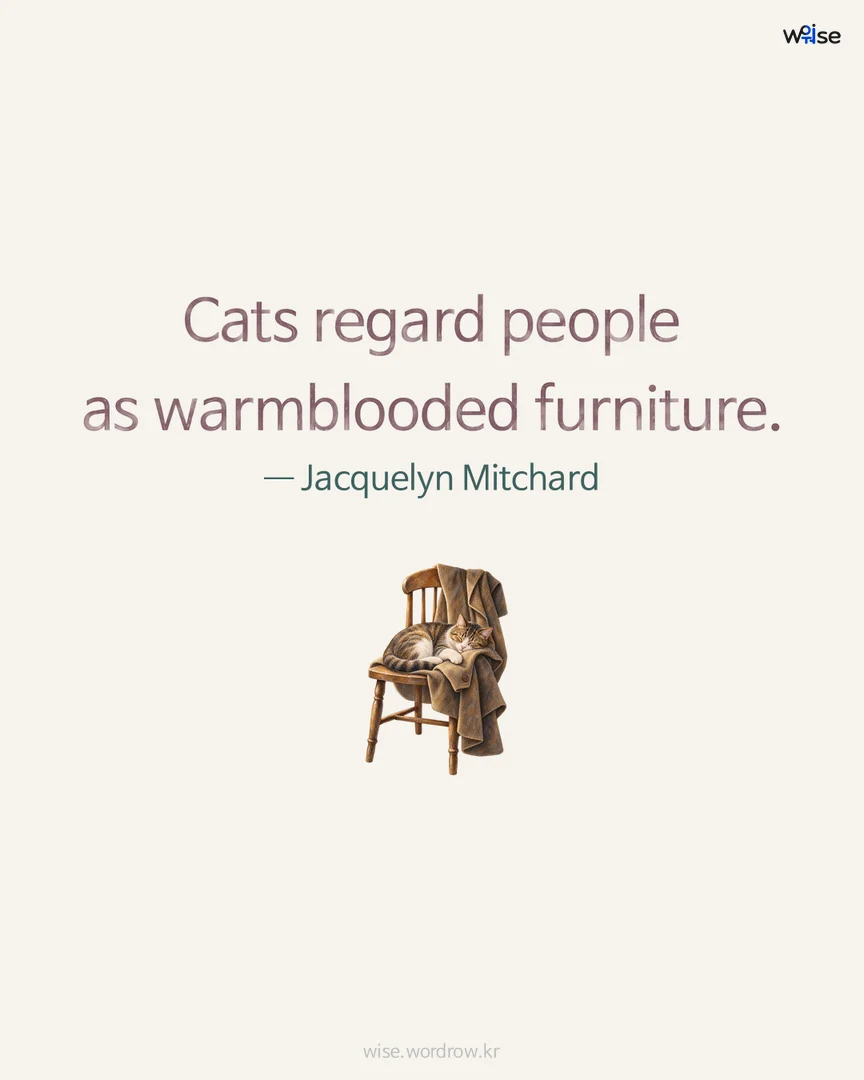 Cats regard people as warmblooded furniture. — Jacquelyn Mitchard 포토카드