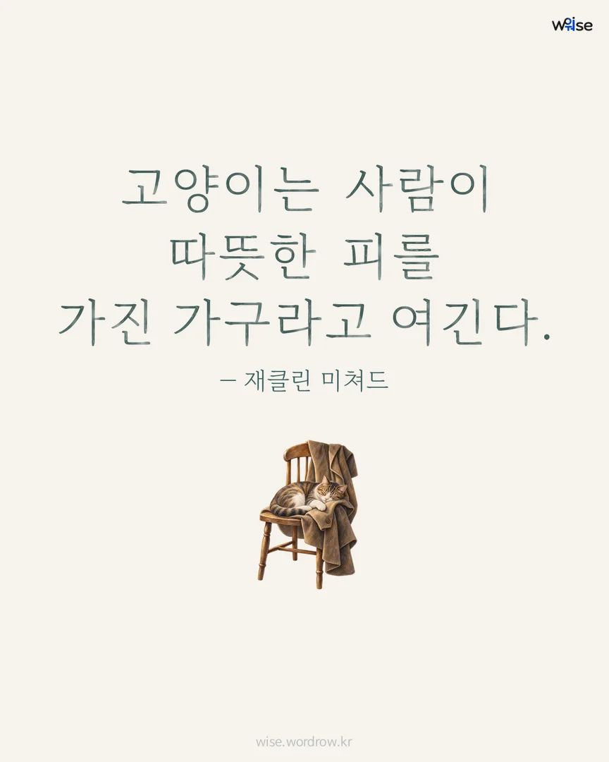 고양이는 사람이 따뜻한 피를 가진 가구라고 여긴다. — 재클린 미쳐드 포토카드