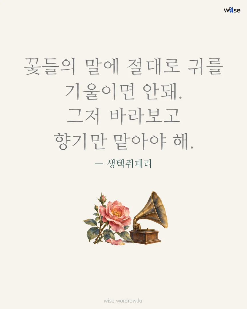 꽃들의 말에 절대로 귀를 기울이면 안돼. 그저 바라보고 향기만 맡아야 해. — 생텍쥐페리 포토카드