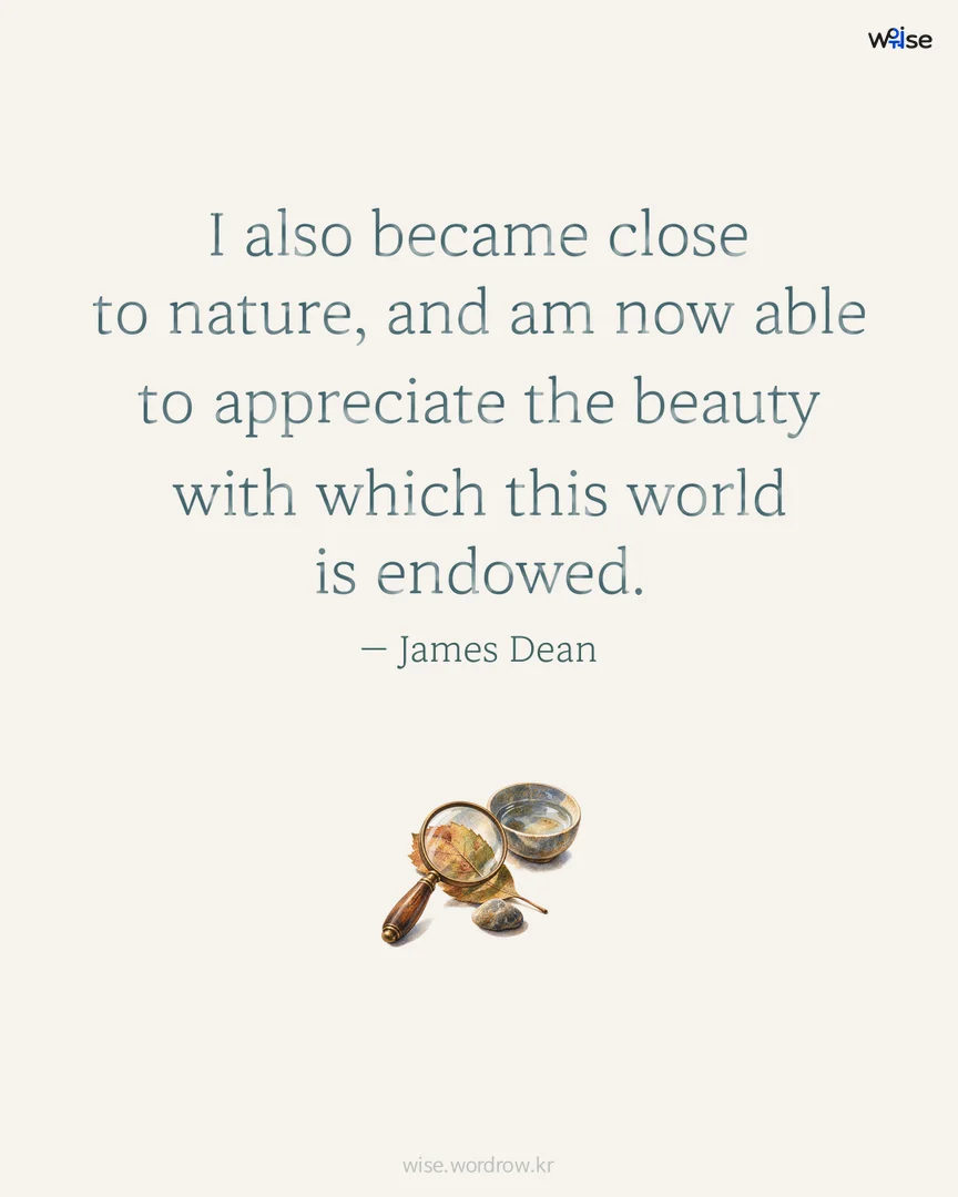 I also became close to nature, and am now able to appreciate the beauty with which this world is endowed. — James Dean 포토카드