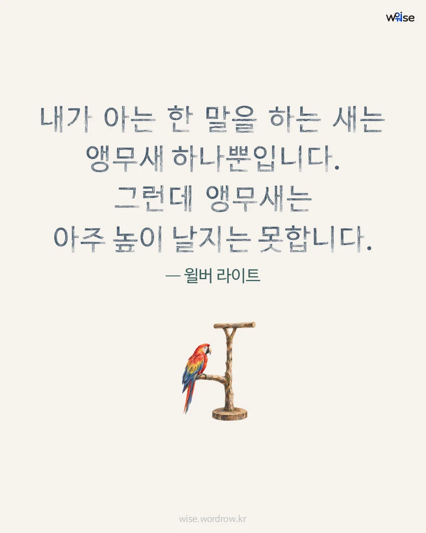 내가 아는 한 말을 하는 새는 앵무새 하나뿐입니다. 그런데 앵무새는 아주 높이 날지는 못합니다. — 윌버 라이트 포토카드