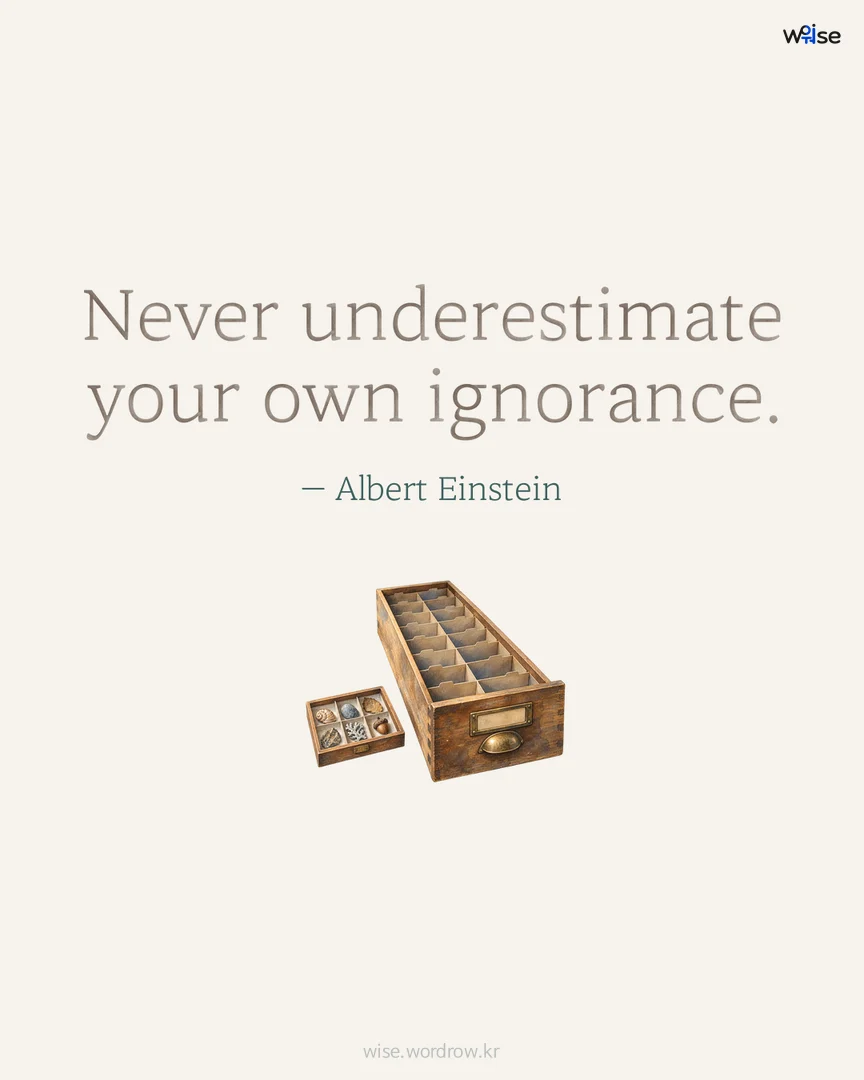 Never underestimate your own ignorance. — Albert Einstein 포토카드