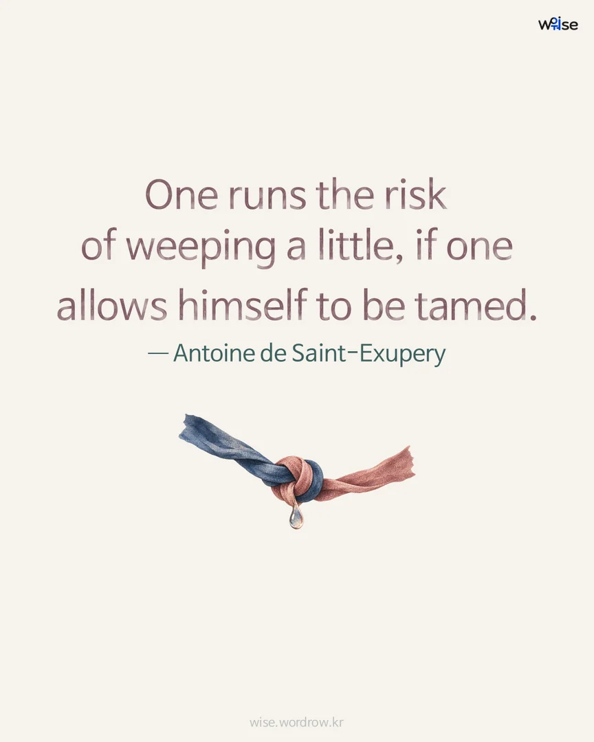 One runs the risk of weeping a little, if one allows himself to be tamed. — Antoine de Saint-Exupery 포토카드