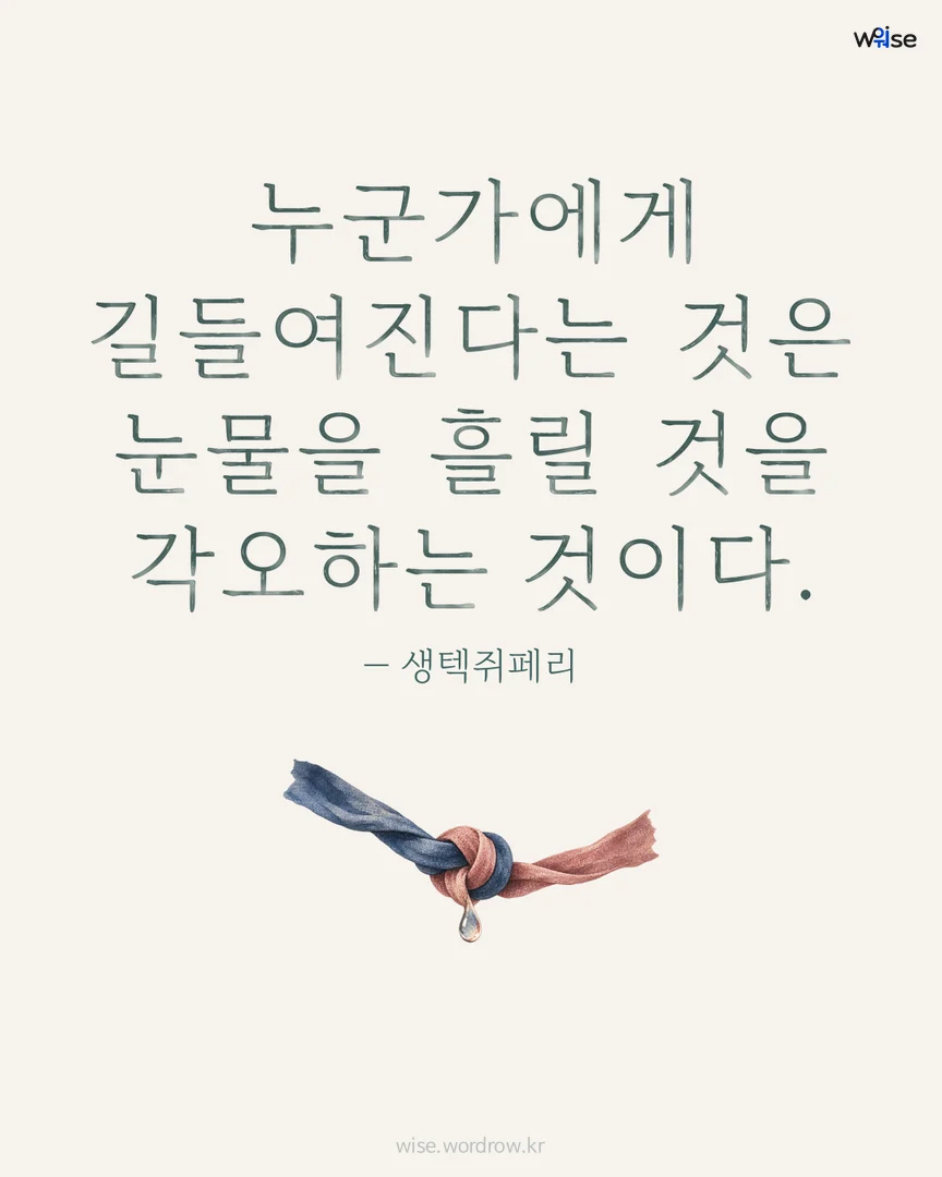 누군가에게 길들여진다는 것은 눈물을 흘릴 것을 각오하는 것이다. — 생텍쥐페리 포토카드