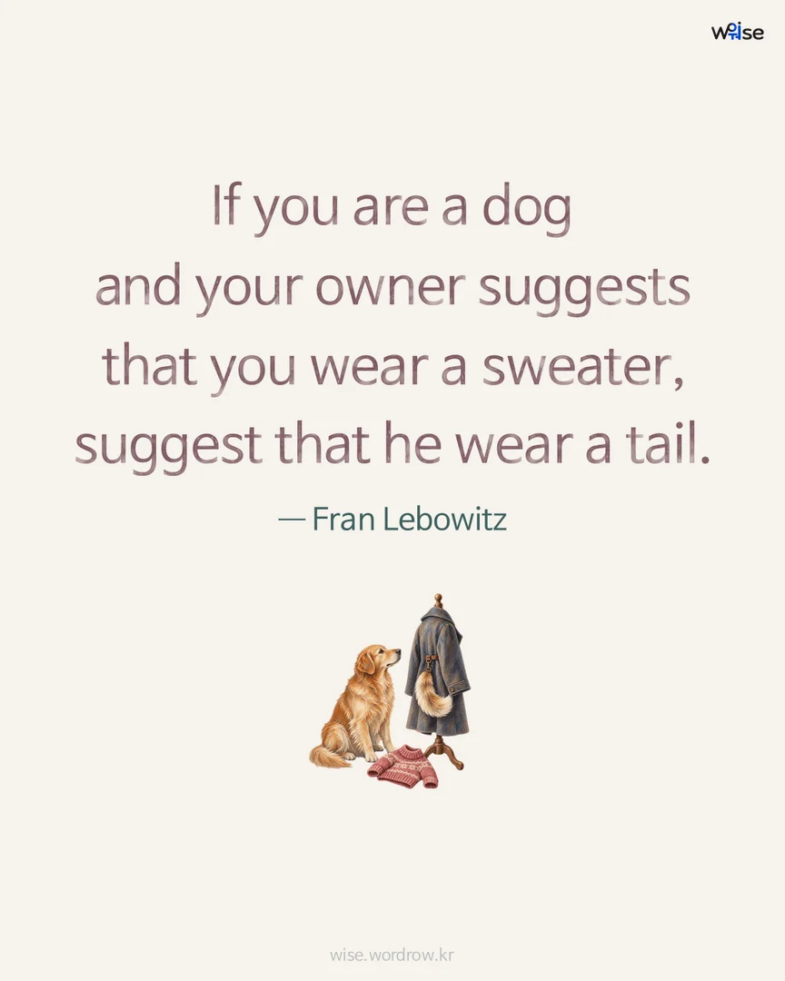 If you are a dog and your owner suggests that you wear a sweater, suggest that he wear a tail. — Fran Lebowitz 포토카드