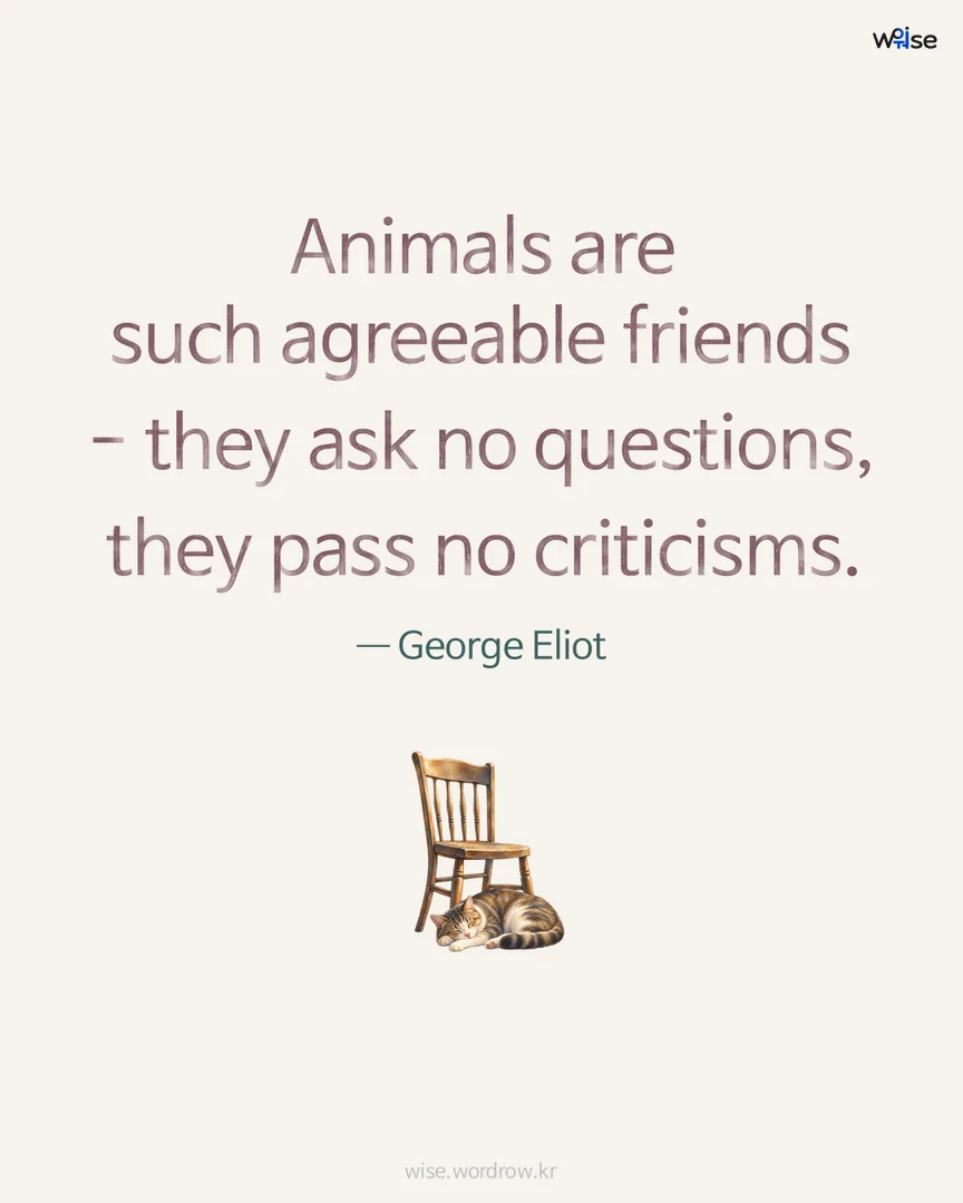 Animals are such agreeable friends - they ask no questions, they pass no criticisms. — George Eliot 포토카드