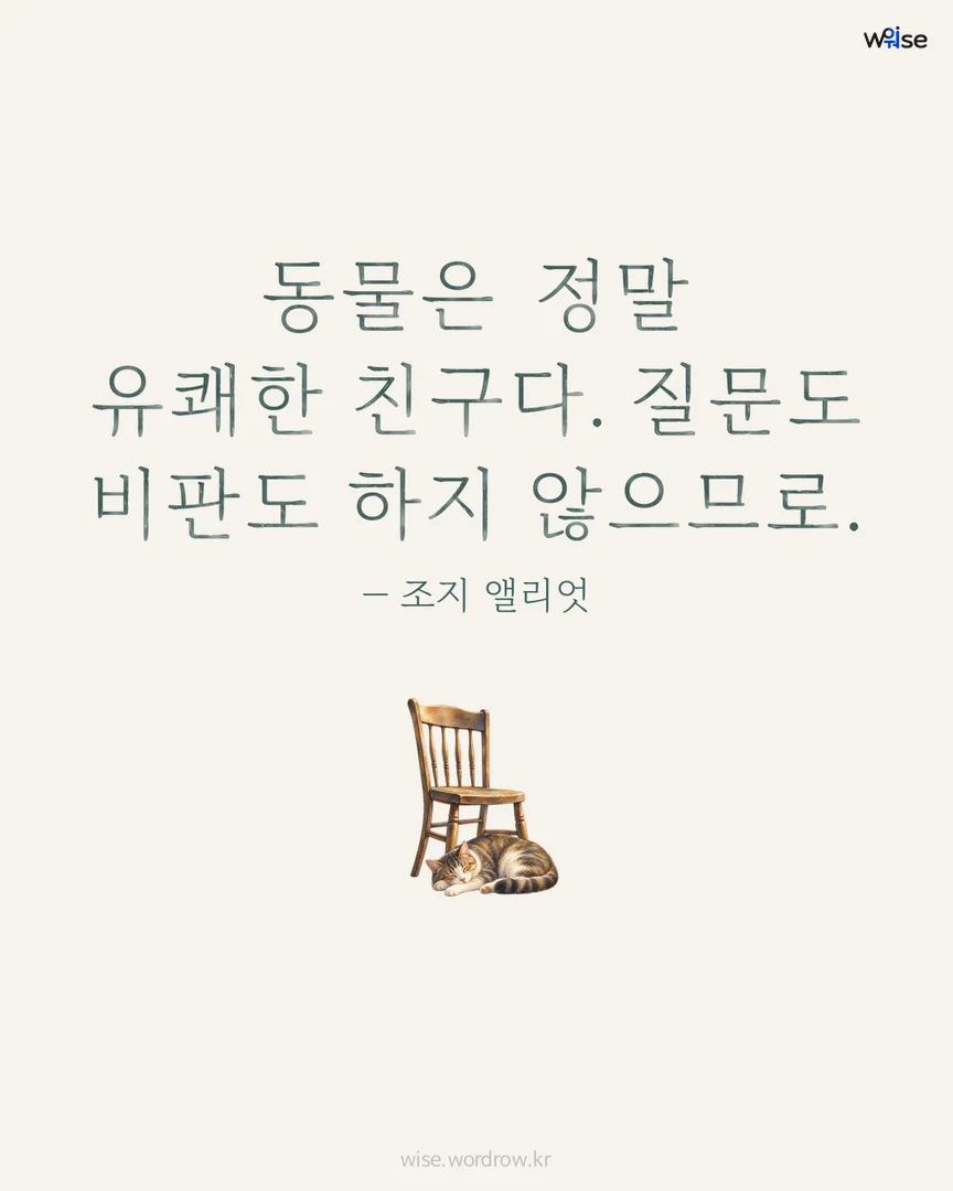 동물은 정말 유쾌한 친구다. 질문도 비판도 하지 않으므로. — 조지 앨리엇 포토카드