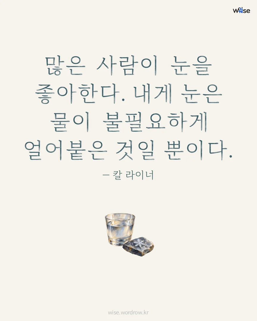 많은 사람이 눈을 좋아한다. 내게 눈은 물이 불필요하게 얼어붙은 것일 뿐이다. — 칼 라이너 포토카드