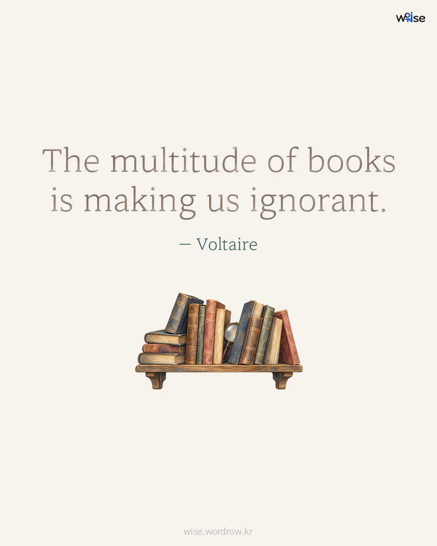 The multitude of books is making us ignorant. — Voltaire 포토카드
