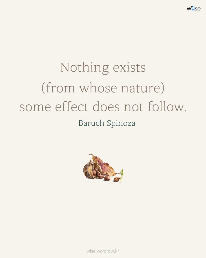 Nothing exists (from whose nature) some effect does not follow. — Baruch Spinoza 포토카드