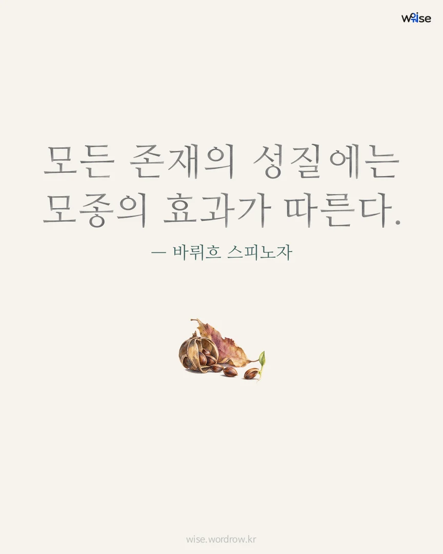 모든 존재의 성질에는 모종의 효과가 따른다. — 바뤼흐 스피노자 포토카드