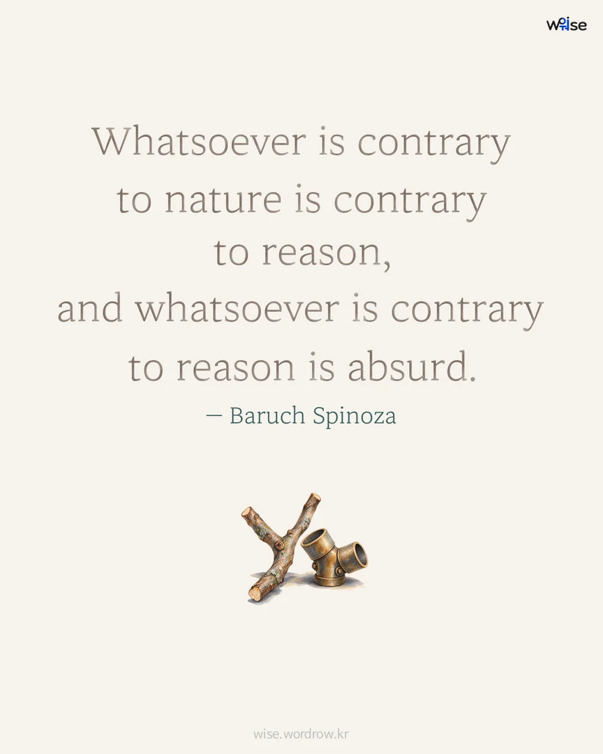 Whatsoever is contrary to nature is contrary to reason, and whatsoever is contrary to reason is absurd. — Baruch Spinoza 포토카드