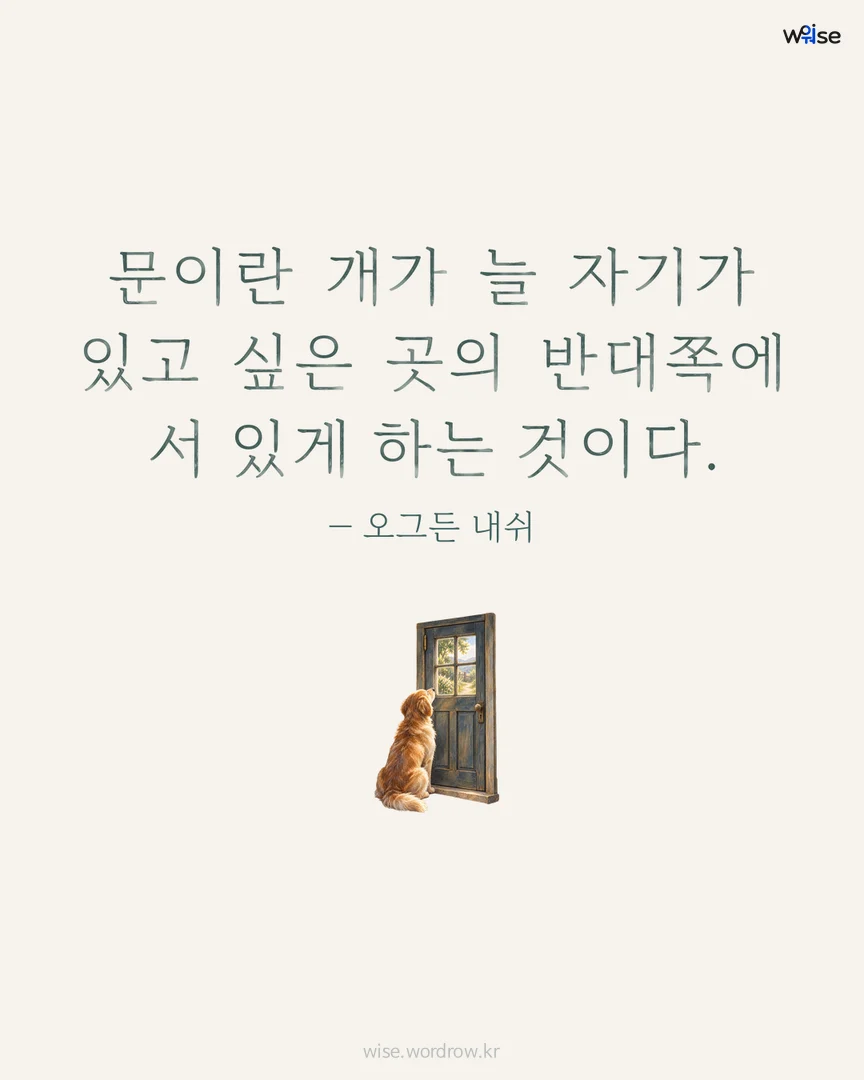 문이란 개가 늘 자기가 있고 싶은 곳의 반대쪽에 서 있게 하는 것이다. — 오그든 내쉬 포토카드