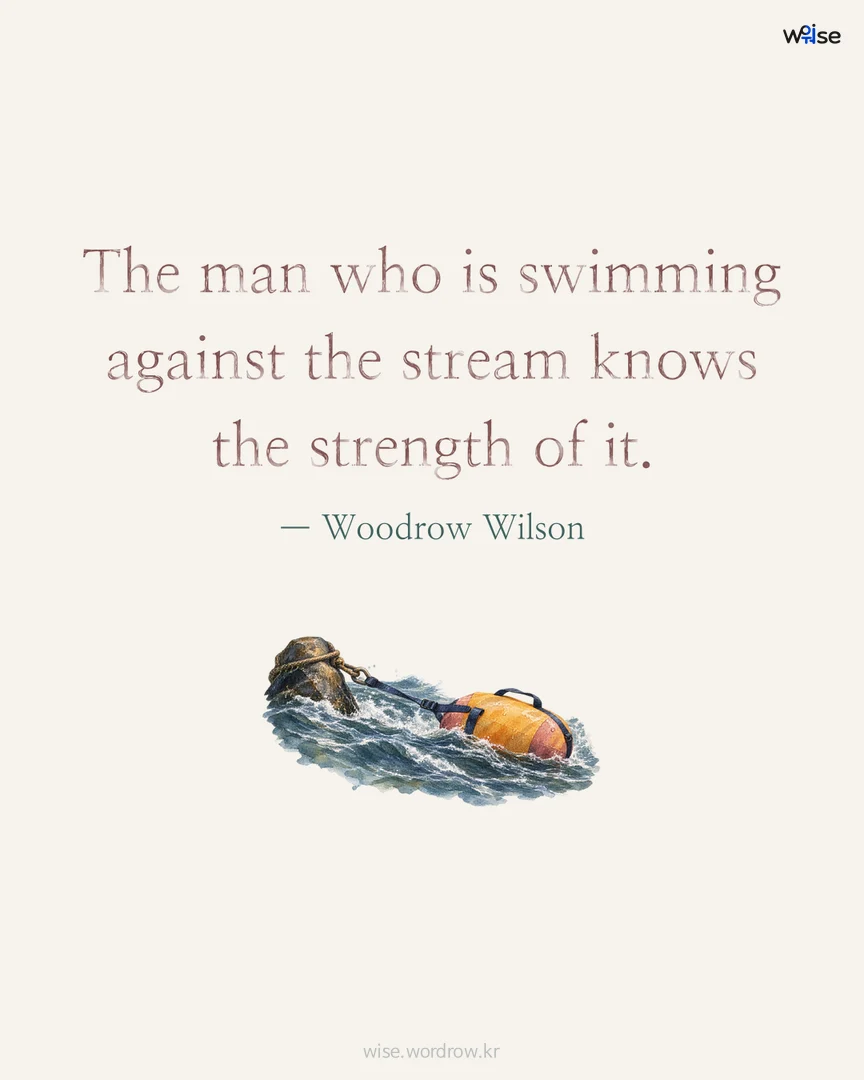 The man who is swimming against the stream knows the strength of it. — Woodrow Wilson 포토카드