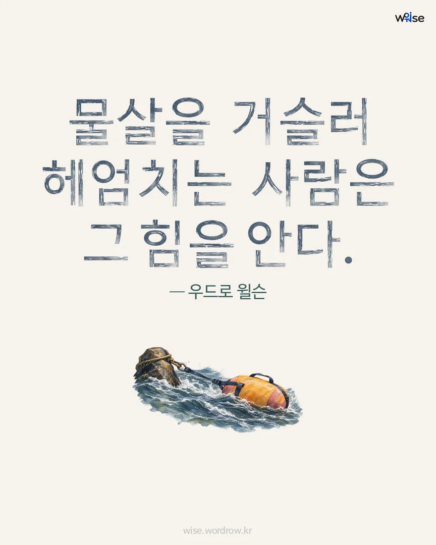 물살을 거슬러 헤엄치는 사람은 그 힘을 안다. — 우드로 윌슨 포토카드