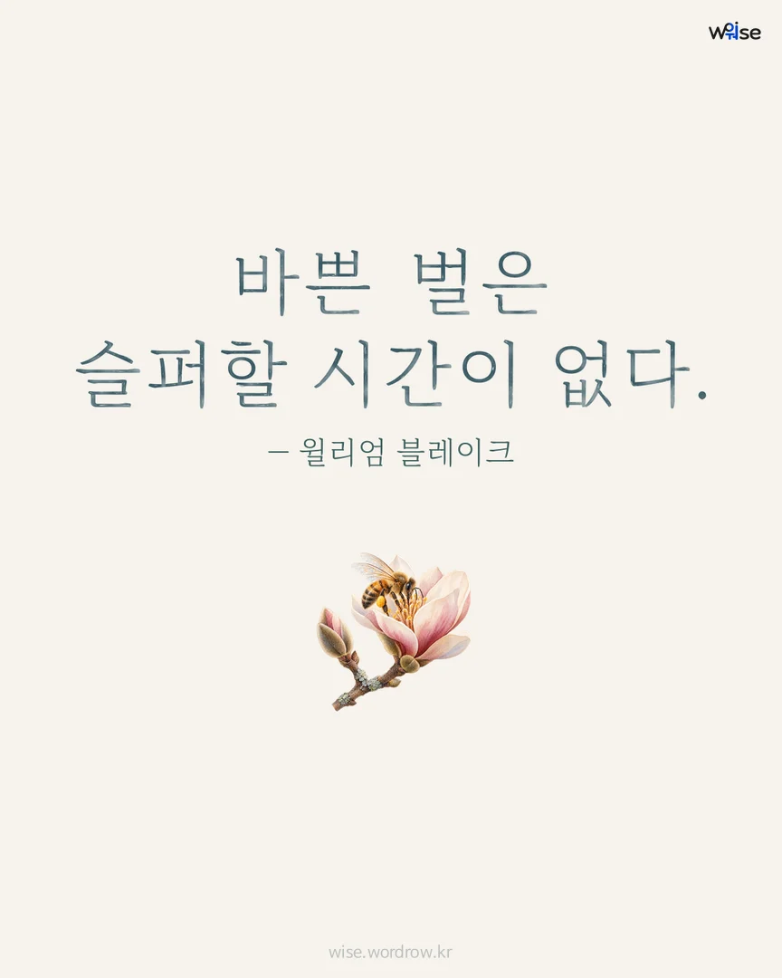 바쁜 벌은 슬퍼할 시간이 없다. — 윌리엄 블레이크 포토카드