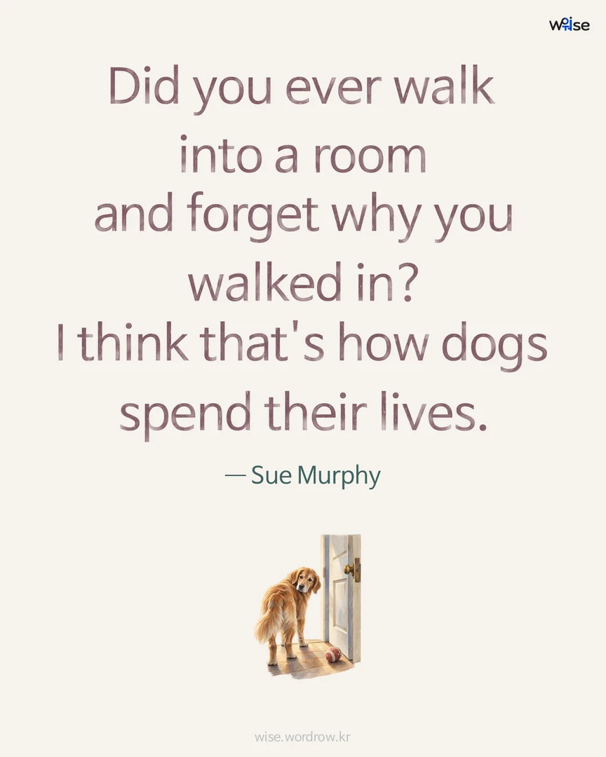 Did you ever walk into a room and forget why you walked in? I think that's how dogs spend their lives. — Sue Murphy 포토카드