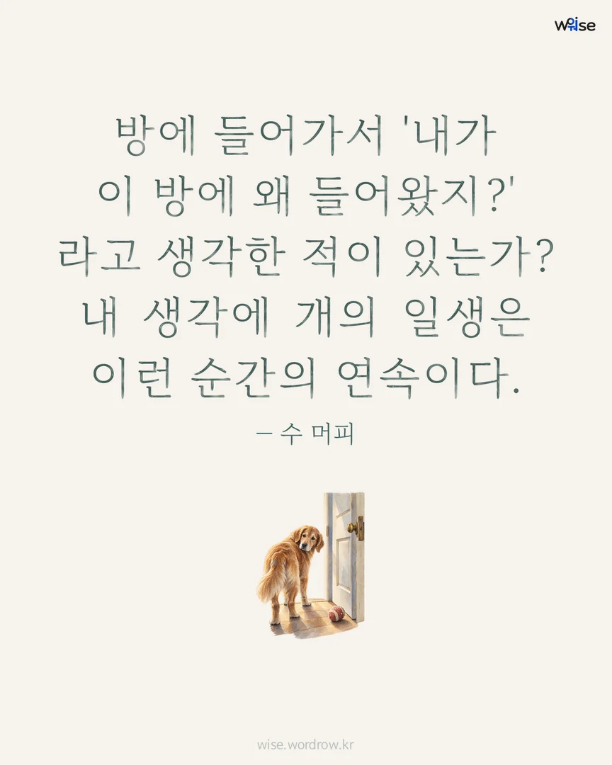 방에 들어가서 '내가 이 방에 왜 들어왔지?' 라고 생각한 적이 있는가? 내 생각에 개의 일생은 이런 순간의 연속이다. — 수 머피 포토카드