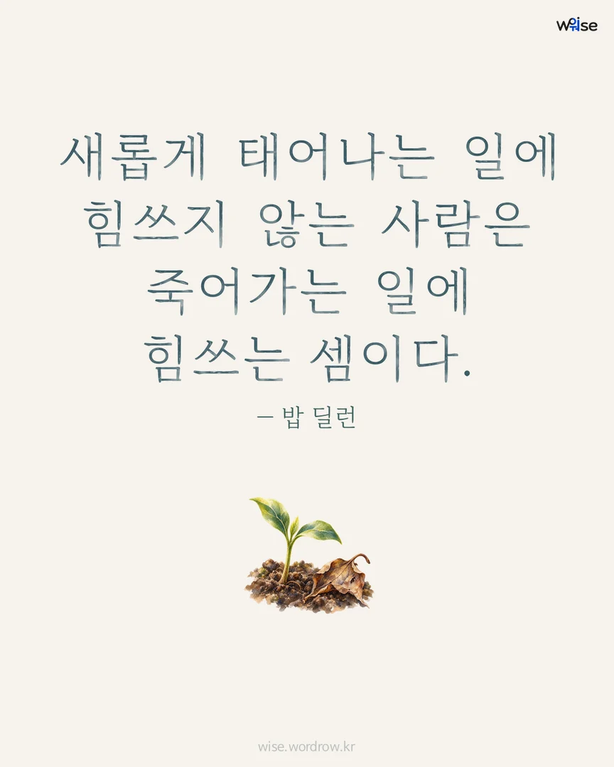 새롭게 태어나는 일에 힘쓰지 않는 사람은 죽어가는 일에 힘쓰는 셈이다. — 밥 딜런 포토카드