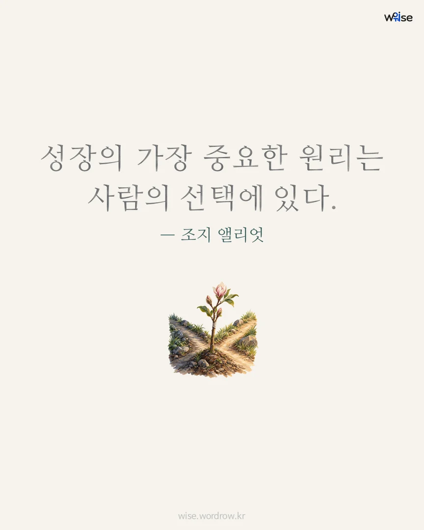 성장의 가장 중요한 원리는 사람의 선택에 있다. — 조지 앨리엇 포토카드