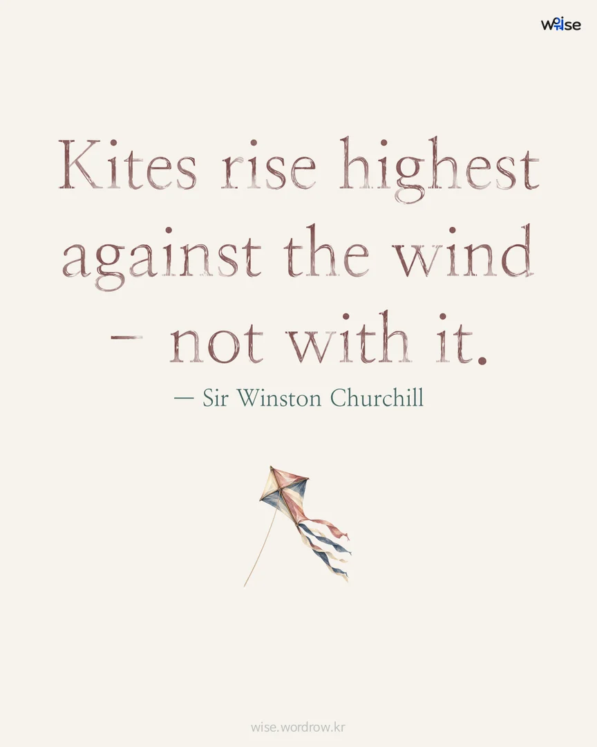 Kites rise highest against the wind - not with it. — Sir Winston Churchill 포토카드