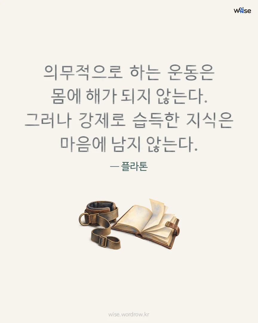 의무적으로 하는 운동은 몸에 해가 되지 않는다. 그러나 강제로 습득한 지식은 마음에 남지 않는다. — 플라톤 포토카드