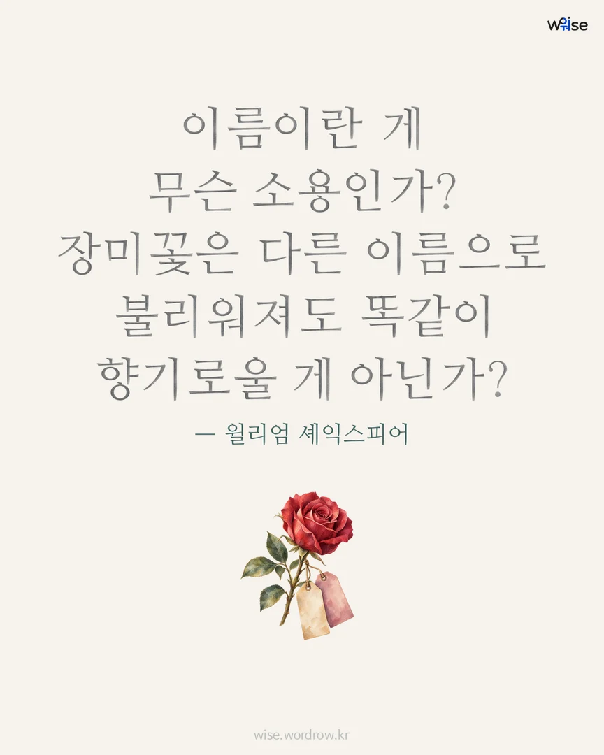 이름이란 게 무슨 소용인가? 장미꽃은 다른 이름으로 불리워져도 똑같이 향기로울 게 아닌가? — 윌리엄 셰익스피어 포토카드