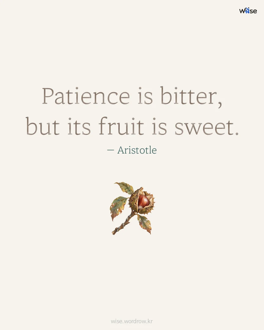 Patience is bitter, but its fruit is sweet. — Aristotle 포토카드