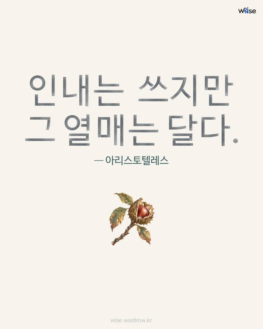 인내는 쓰지만 그 열매는 달다. — 아리스토텔레스 포토카드