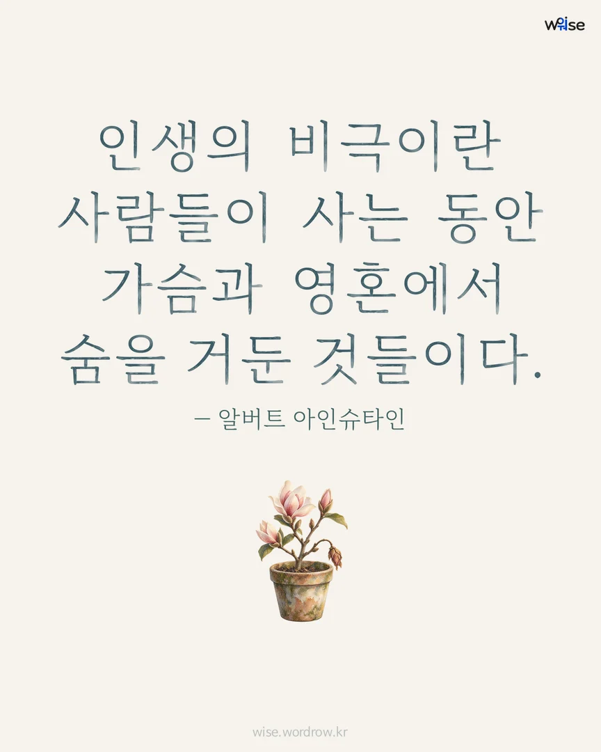 인생의 비극이란 사람들이 사는 동안 가슴과 영혼에서 숨을 거둔 것들이다. — 알버트 아인슈타인 포토카드