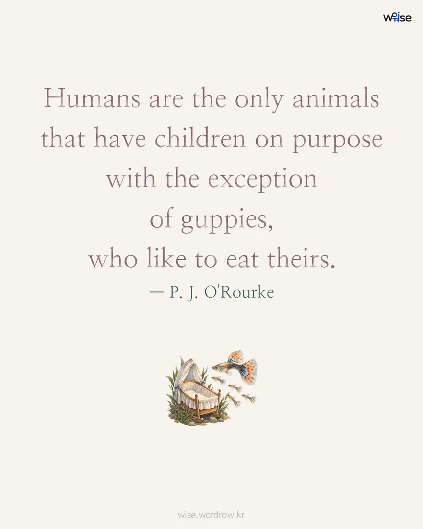 Humans are the only animals that have children on purpose with the exception of guppies, who like to eat theirs. — P. J. O'Rourke 포토카드