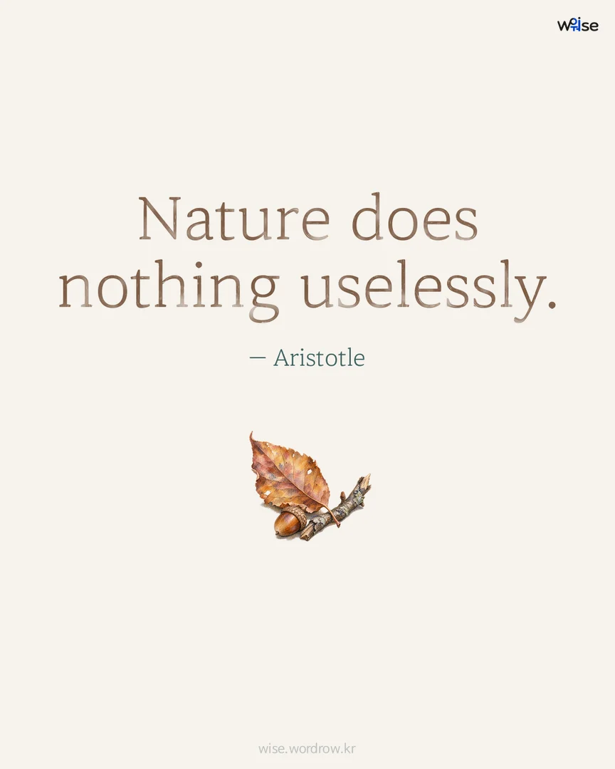 Nature does nothing uselessly. — Aristotle 포토카드