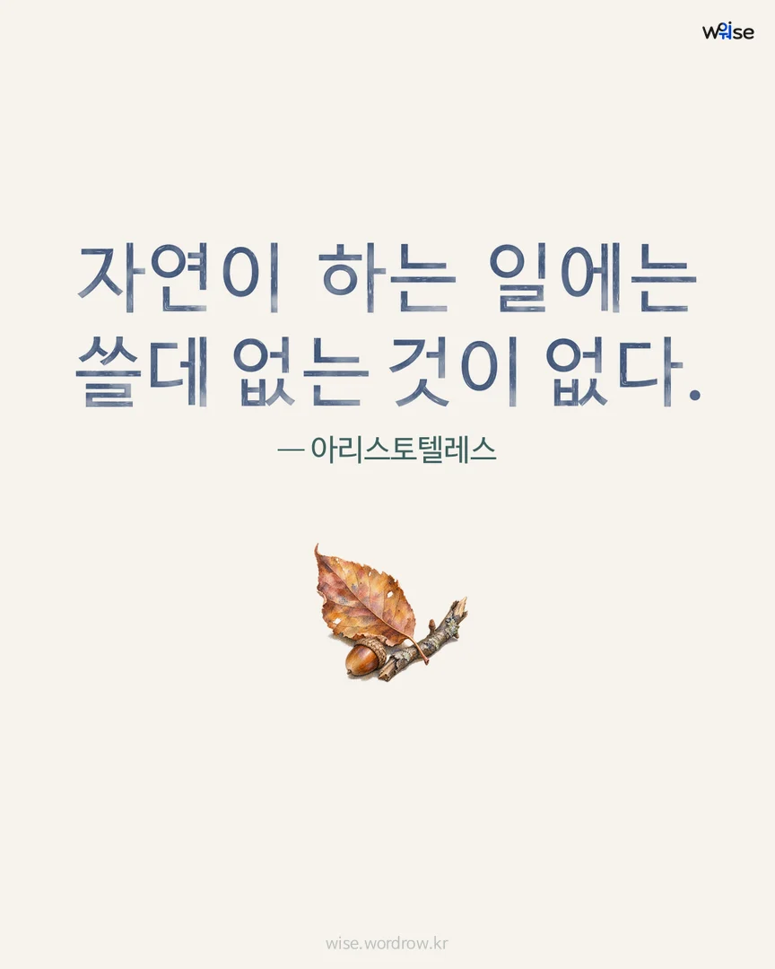자연이 하는 일에는 쓸데 없는 것이 없다. — 아리스토텔레스 포토카드