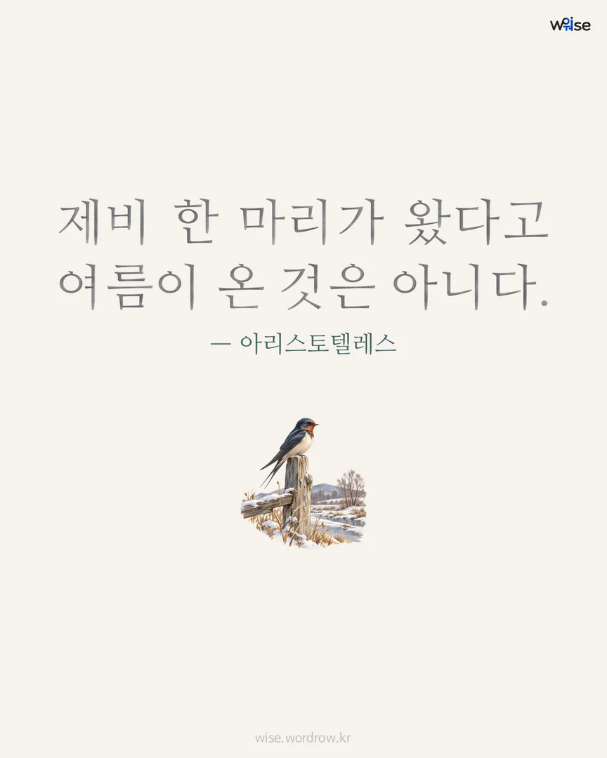 제비 한 마리가 왔다고 여름이 온 것은 아니다. — 아리스토텔레스 포토카드