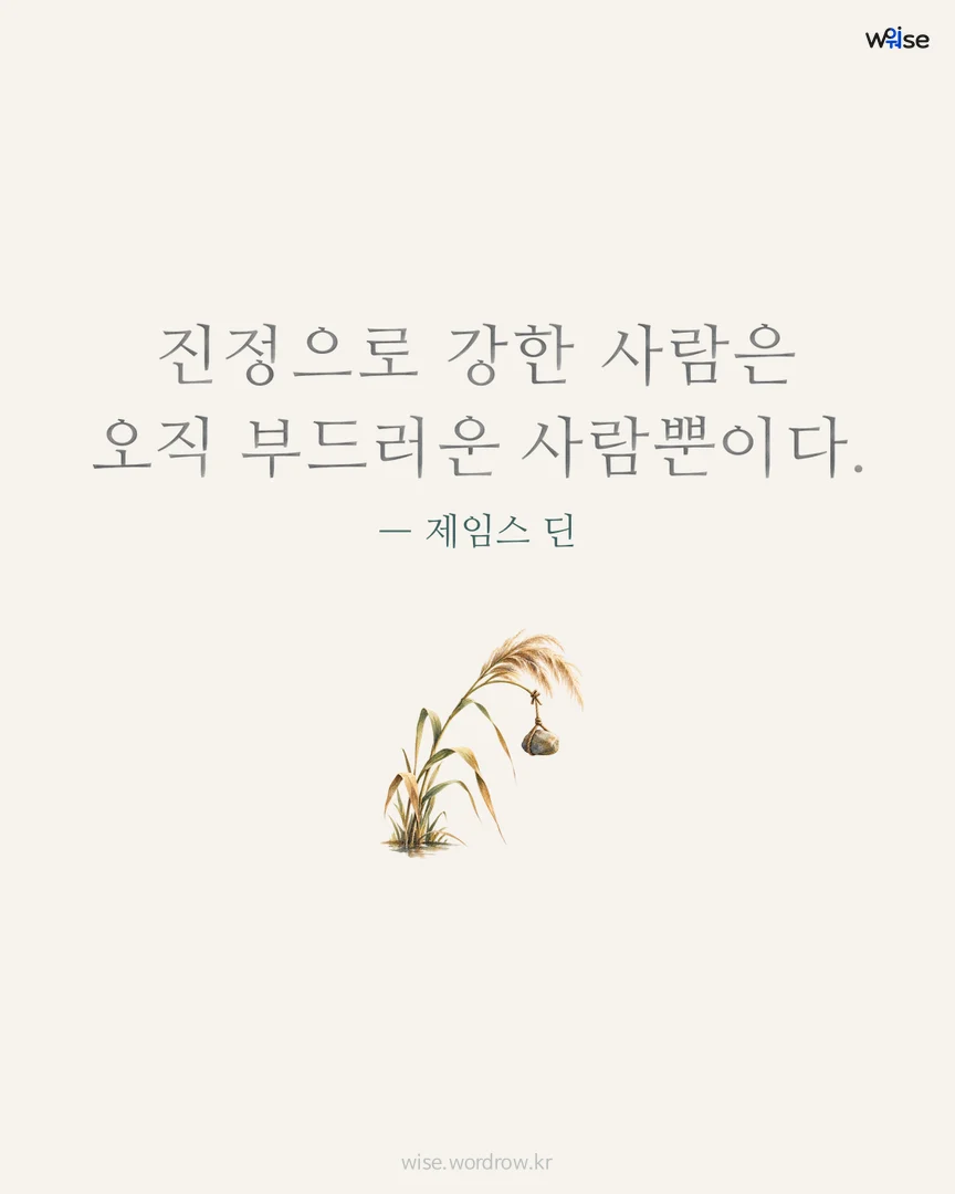 진정으로 강한 사람은 오직 부드러운 사람뿐이다. — 제임스 딘 포토카드