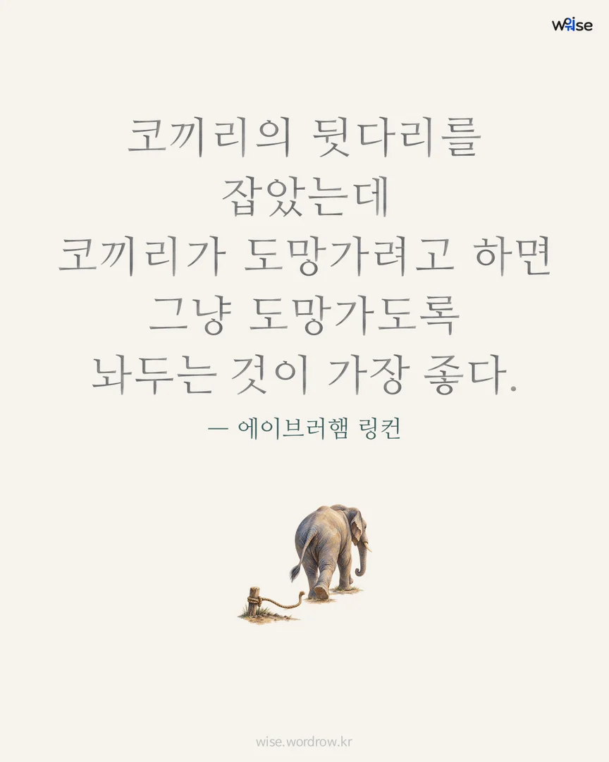 코끼리의 뒷다리를 잡았는데 코끼리가 도망가려고 하면 그냥 도망가도록 놔두는 것이 가장 좋다. — 에이브러햄 링컨 포토카드