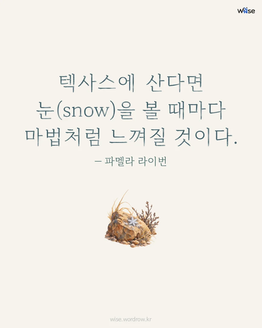 텍사스에 산다면 눈(snow)을 볼 때마다 마법처럼 느껴질 것이다. — 파멜라 라이번 포토카드