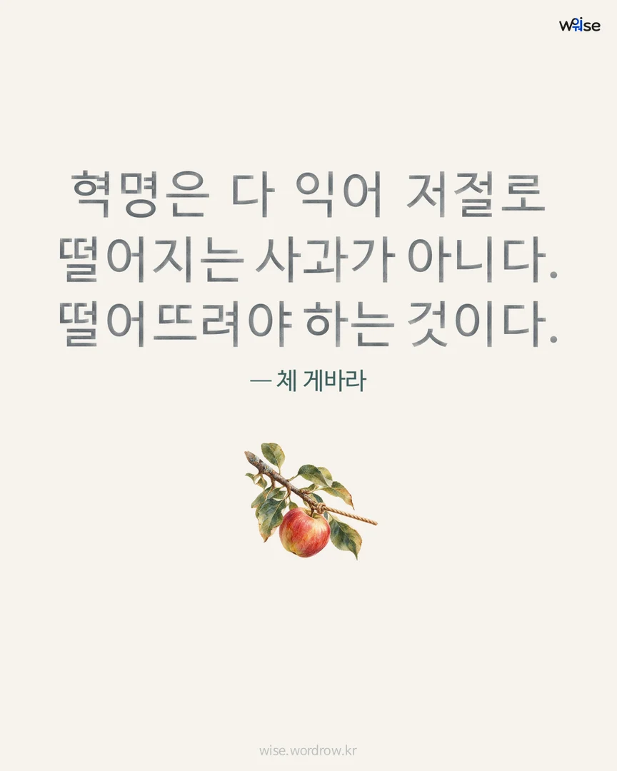 혁명은 다 익어 저절로 떨어지는 사과가 아니다. 떨어뜨려야 하는 것이다. — 체 게바라 포토카드