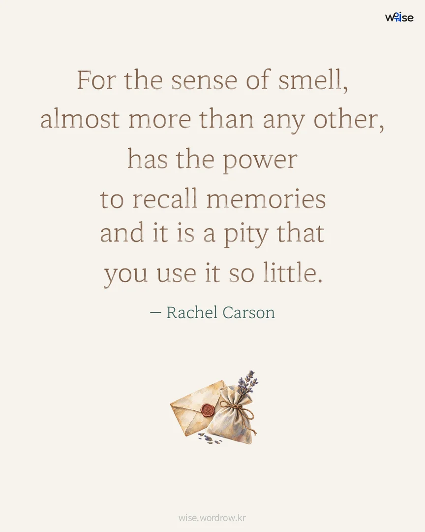 For the sense of smell, almost more than any other, has the power to recall memories and it is a pity that you use it so little. — Rachel Carson 포토카드